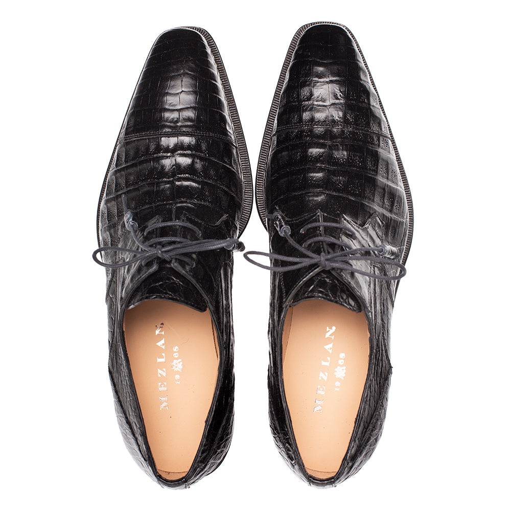 Giovane Crocodile Derby