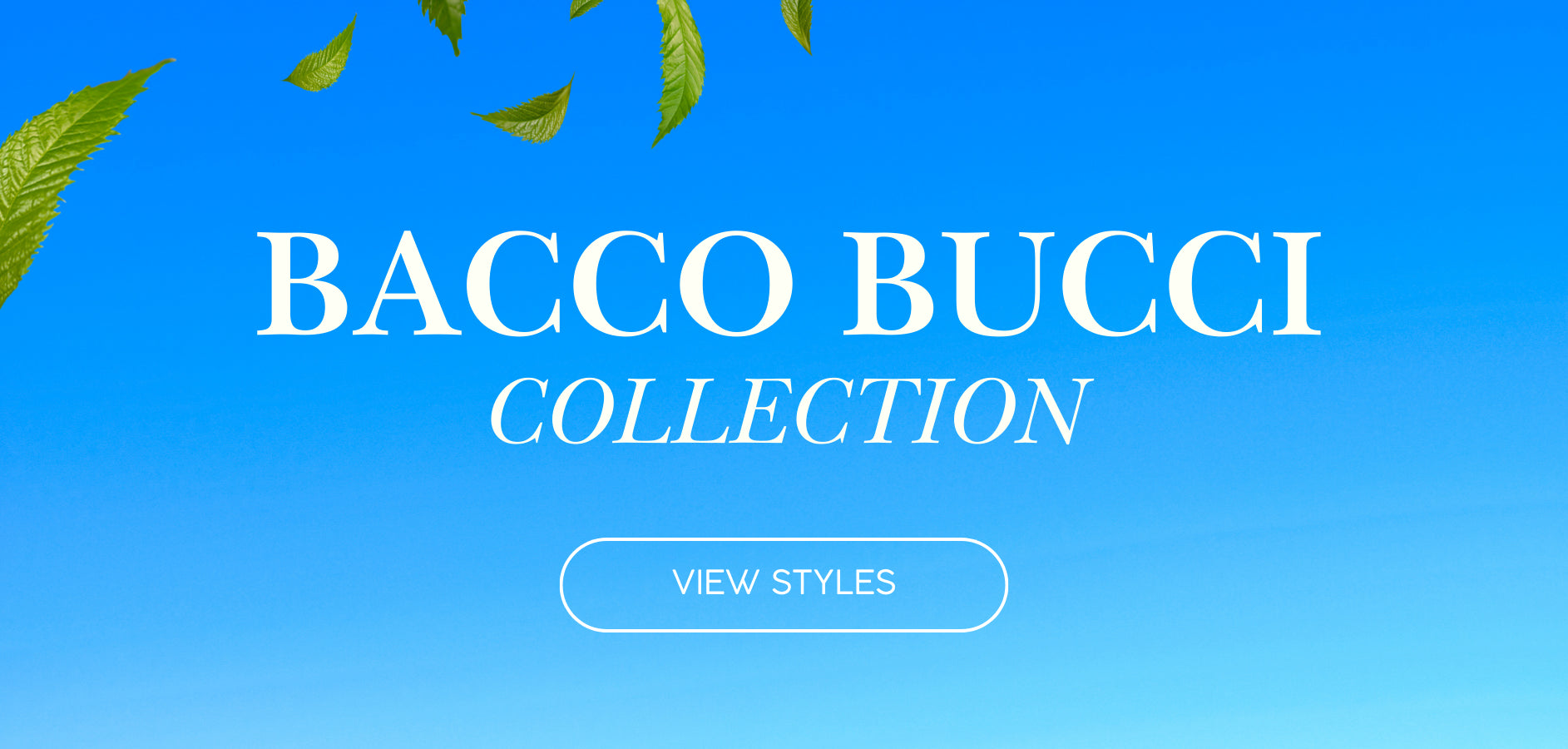 Bacco Bucci