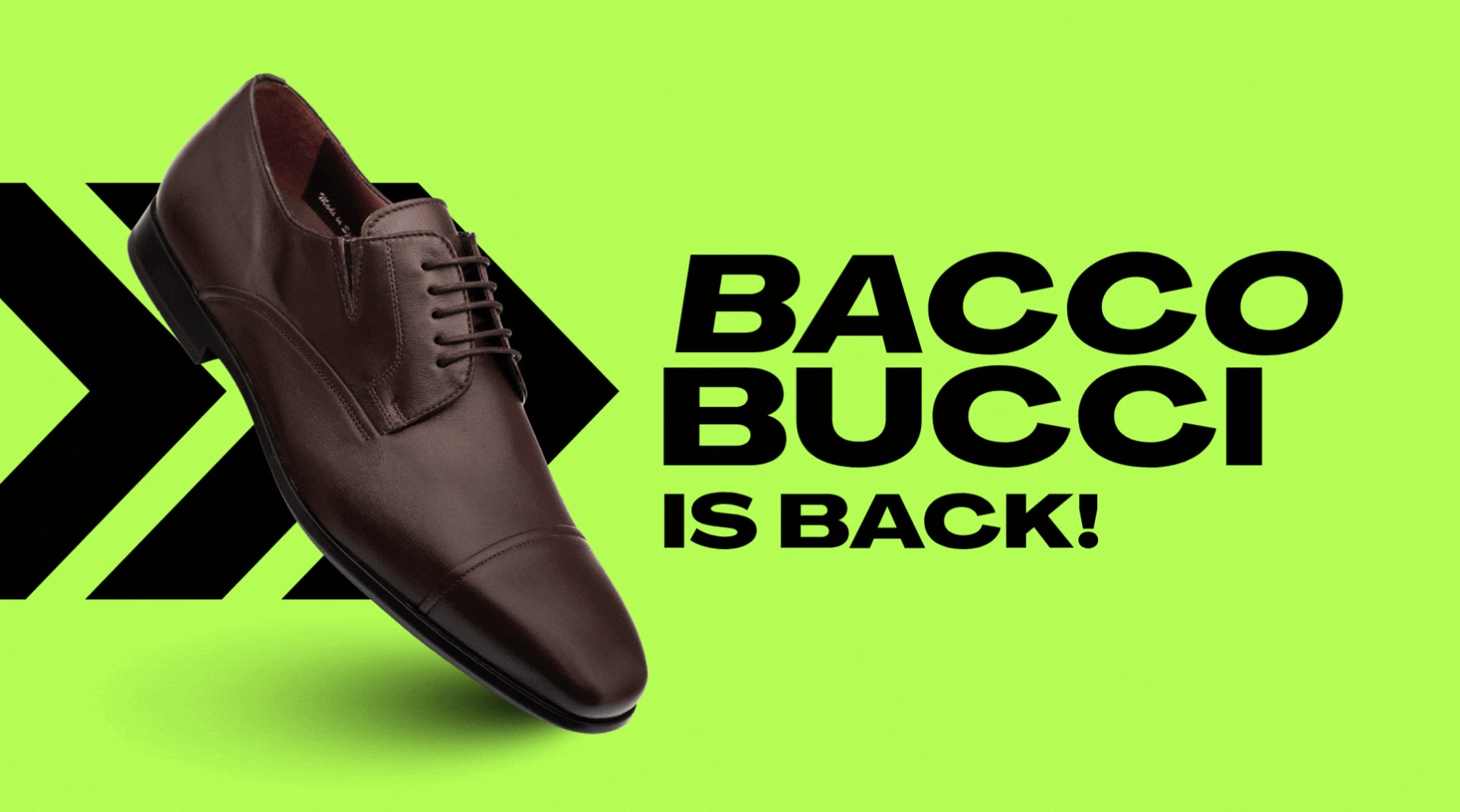 Bacco Bucci