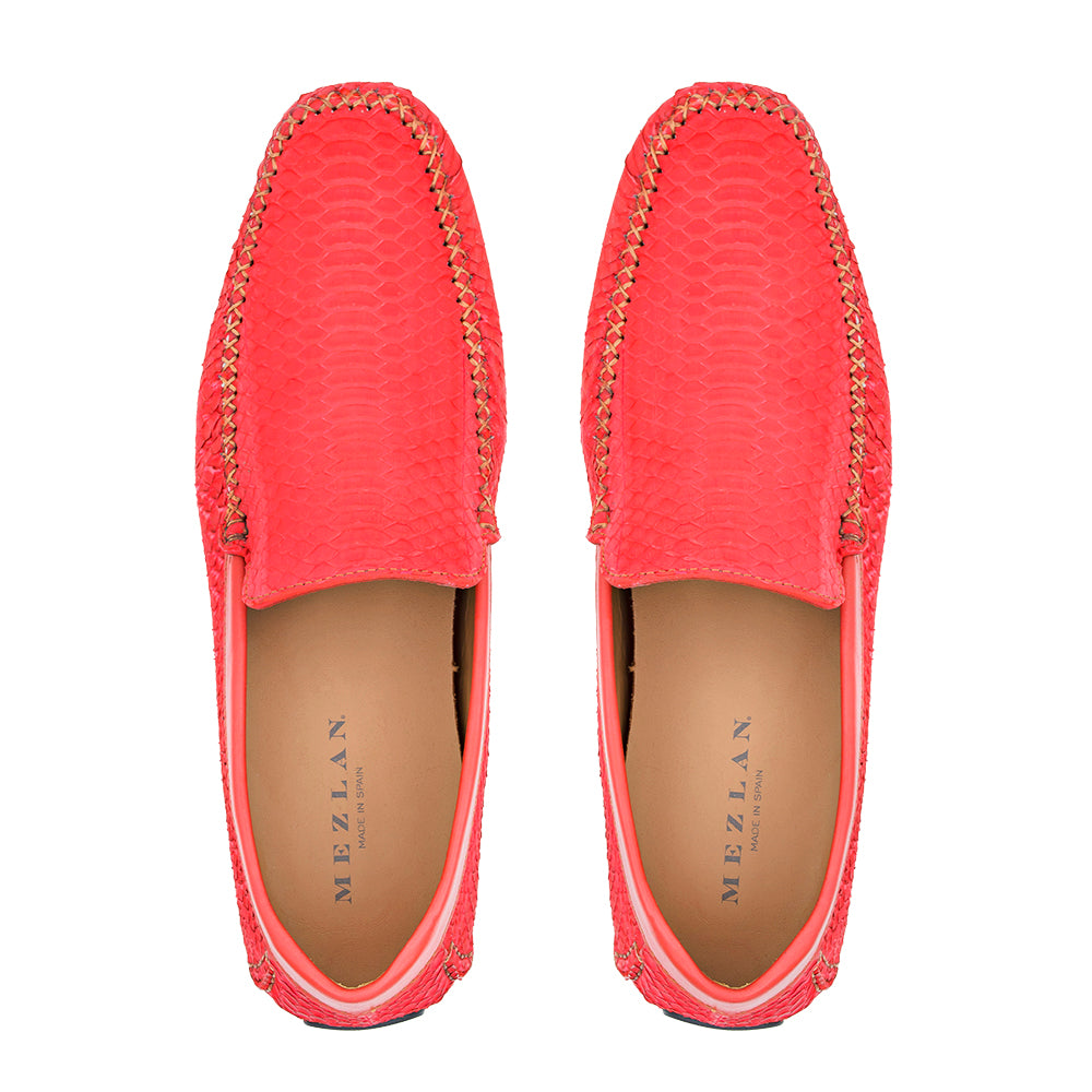 Snake Driving Moccasin